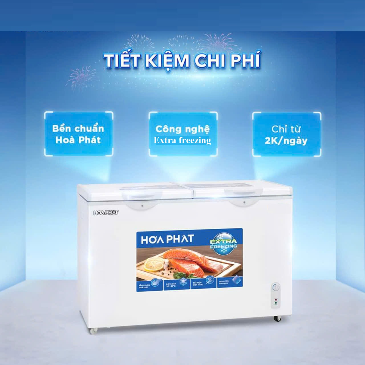 Tủ đông Hoà Phát Inverter 271 Lít HPF BD8271